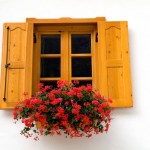 1481770_windowflowers1 1481770_windowflowers1