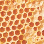 192693_honeycomb1 192693_honeycomb1