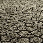 365870_drymud1 365870_drymud1
