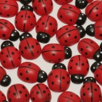669100_ladybugs1 669100_ladybugs1
